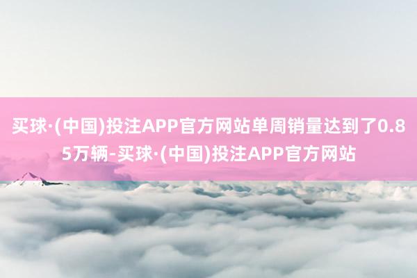 买球·(中国)投注APP官方网站单周销量达到了0.85万辆-买球·(中国)投注APP官方网站