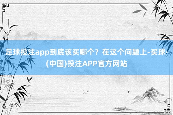 足球投注app到底该买哪个？在这个问题上-买球·(中国)投注APP官方网站
