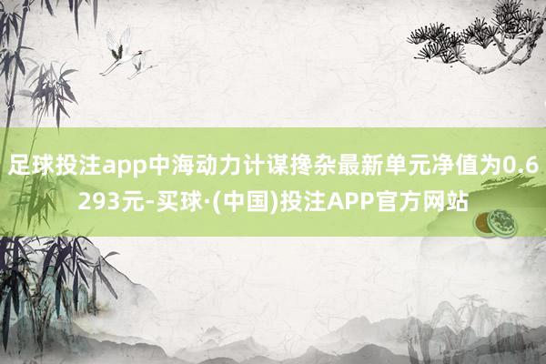 足球投注app中海动力计谋搀杂最新单元净值为0.6293元-买球·(中国)投注APP官方网站