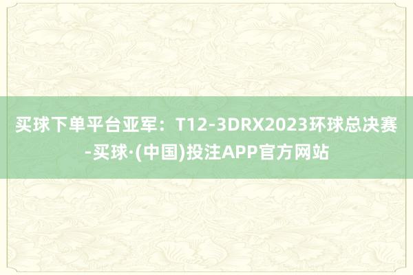 买球下单平台亚军：T12-3DRX2023环球总决赛-买球·(中国)投注APP官方网站