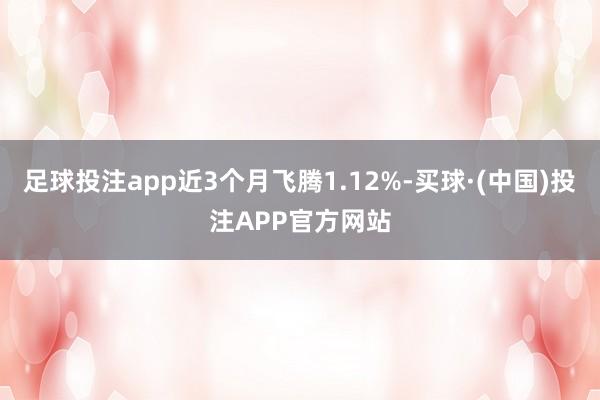 足球投注app近3个月飞腾1.12%-买球·(中国)投注APP官方网站