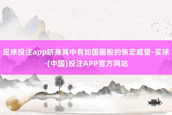 足球投注app跻身其中有如国画般的恢宏威望-买球·(中国)投注APP官方网站