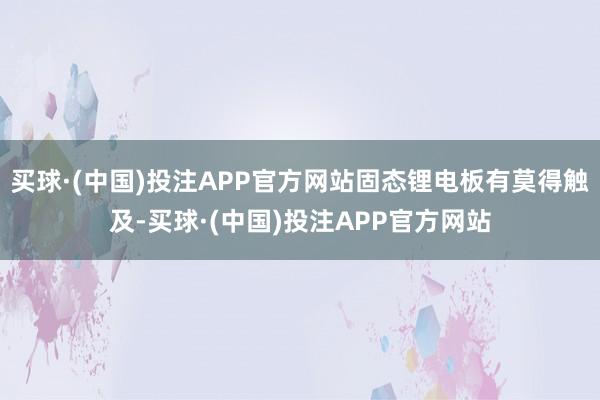 买球·(中国)投注APP官方网站固态锂电板有莫得触及-买球·(中国)投注APP官方网站