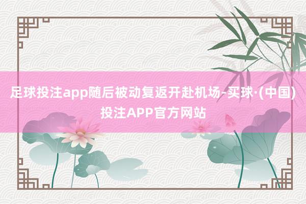 足球投注app随后被动复返开赴机场-买球·(中国)投注APP官方网站