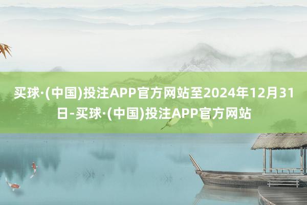 买球·(中国)投注APP官方网站至2024年12月31日-买球·(中国)投注APP官方网站