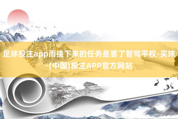 足球投注app而接下来的任务是罢了智驾平权-买球·(中国)投注APP官方网站