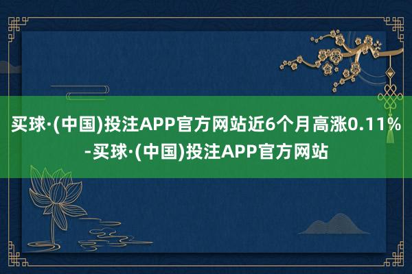 买球·(中国)投注APP官方网站近6个月高涨0.11%-买球·(中国)投注APP官方网站