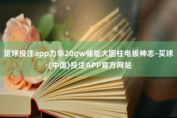足球投注app力华20gw储能大圆柱电板神志-买球·(中国)投注APP官方网站