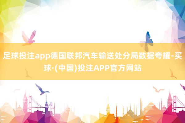 足球投注app德国联邦汽车输送处分局数据夸耀-买球·(中国)投注APP官方网站