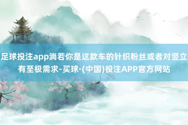 足球投注app淌若你是这款车的针织粉丝或者对竖立有至极需求-买球·(中国)投注APP官方网站