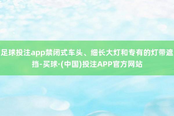 足球投注app禁闭式车头、细长大灯和专有的灯带遮挡-买球·(中国)投注APP官方网站