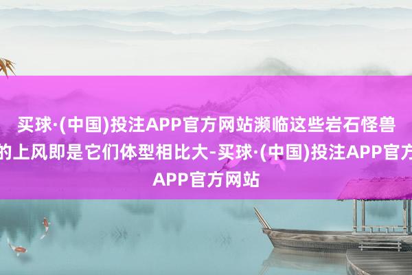 买球·(中国)投注APP官方网站濒临这些岩石怪兽惟一的上风即是它们体型相比大-买球·(中国)投注APP官方网站