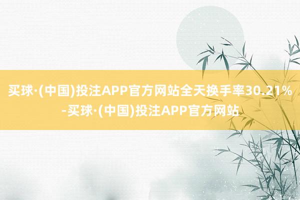 买球·(中国)投注APP官方网站全天换手率30.21%-买球·(中国)投注APP官方网站