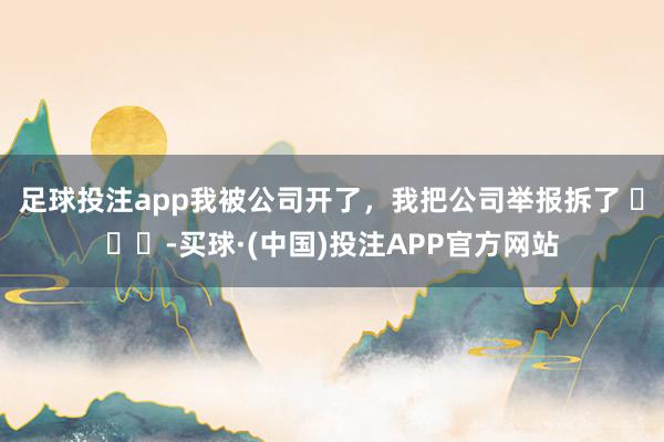足球投注app我被公司开了，我把公司举报拆了 ​​​-买球·(中国)投注APP官方网站