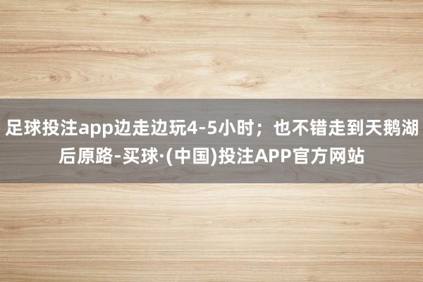 足球投注app边走边玩4-5小时;也不错走到天鹅湖后原路-买球·(中国)投注APP官方网站