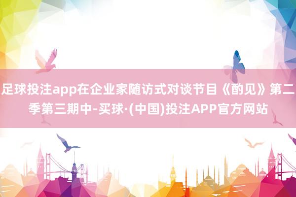 足球投注app在企业家随访式对谈节目《酌见》第二季第三期中-买球·(中国)投注APP官方网站