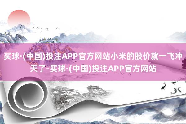 买球·(中国)投注APP官方网站小米的股价就一飞冲天了-买球·(中国)投注APP官方网站