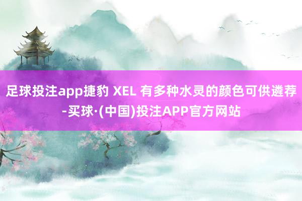 足球投注app捷豹 XEL 有多种水灵的颜色可供遴荐-买球·(中国)投注APP官方网站
