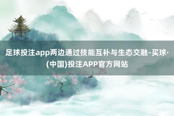 足球投注app两边通过技能互补与生态交融-买球·(中国)投注APP官方网站