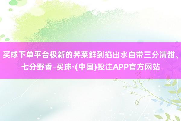 买球下单平台极新的荠菜鲜到掐出水自带三分清甜、七分野香-买球·(中国)投注APP官方网站