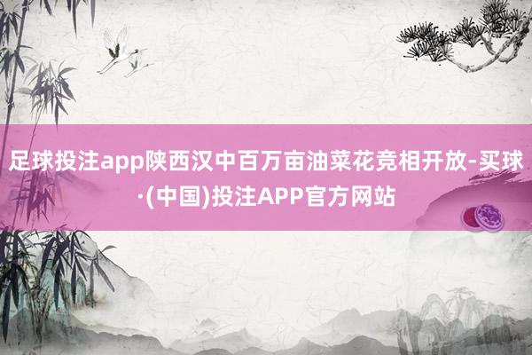 足球投注app陕西汉中百万亩油菜花竞相开放-买球·(中国)投注APP官方网站