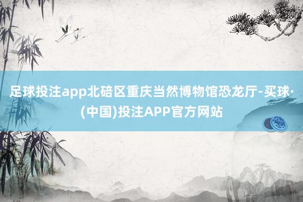 足球投注app北碚区重庆当然博物馆恐龙厅-买球·(中国)投注APP官方网站