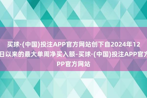 买球·(中国)投注APP官方网站创下自2024年12月25日以来的最大单周净买入额-买球·(中国)投注APP官方网站