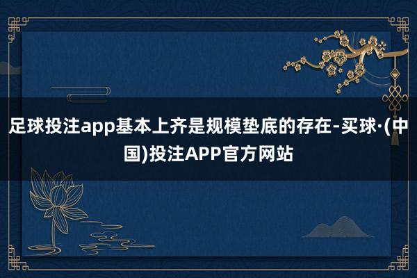 足球投注app基本上齐是规模垫底的存在-买球·(中国)投注APP官方网站