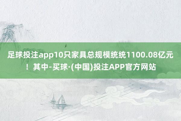 足球投注app10只家具总规模统统1100.08亿元！其中-买球·(中国)投注APP官方网站
