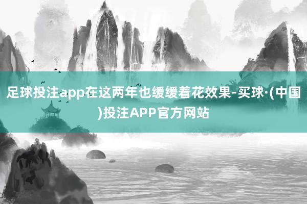 足球投注app在这两年也缓缓着花效果-买球·(中国)投注APP官方网站