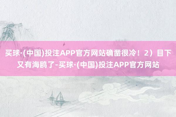 买球·(中国)投注APP官方网站确凿很冷！2）目下又有海鸥了-买球·(中国)投注APP官方网站