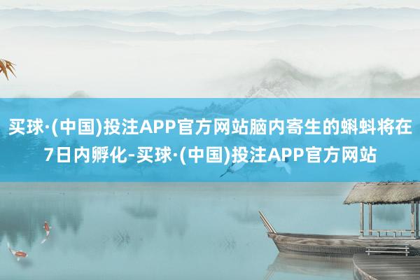买球·(中国)投注APP官方网站脑内寄生的蝌蚪将在7日内孵化-买球·(中国)投注APP官方网站