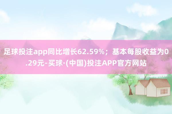 足球投注app同比增长62.59%；基本每股收益为0.29元-买球·(中国)投注APP官方网站