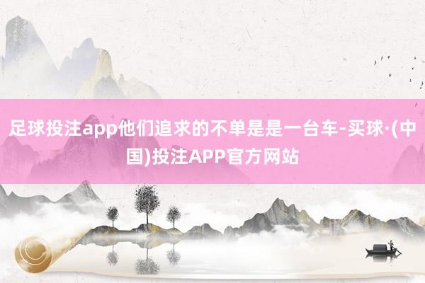 足球投注app他们追求的不单是是一台车-买球·(中国)投注APP官方网站