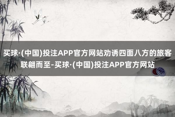 买球·(中国)投注APP官方网站劝诱四面八方的旅客联翩而至-买球·(中国)投注APP官方网站