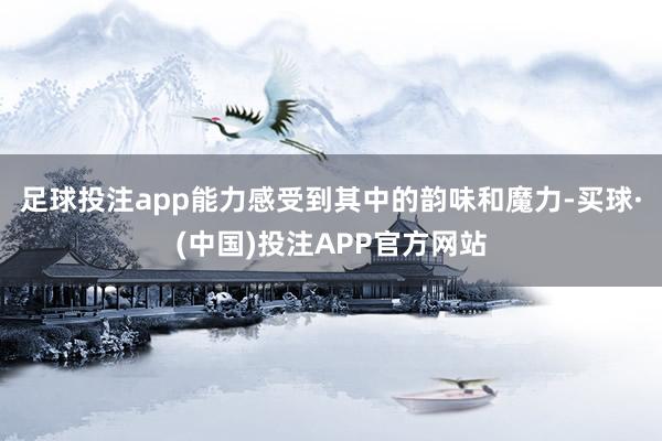 足球投注app能力感受到其中的韵味和魔力-买球·(中国)投注APP官方网站