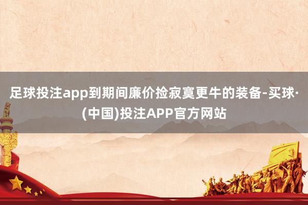 足球投注app到期间廉价捡寂寞更牛的装备-买球·(中国)投注APP官方网站
