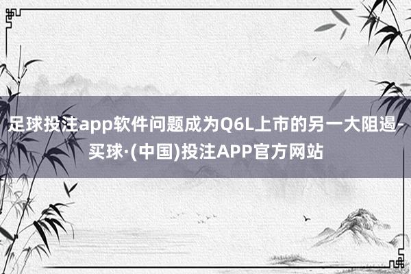 足球投注app软件问题成为Q6L上市的另一大阻遏-买球·(中国)投注APP官方网站