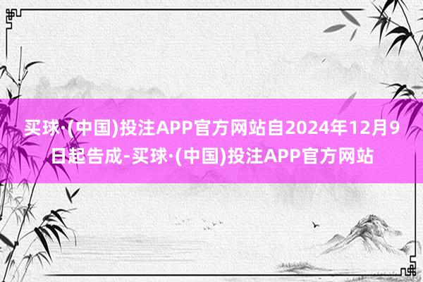 买球·(中国)投注APP官方网站自2024年12月9日起告成-买球·(中国)投注APP官方网站