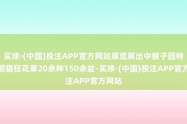 买球·(中国)投注APP官方网站展览展出中猴子园特质花期猖狂花草20余种150余盆-买球·(中国)投注APP官方网站
