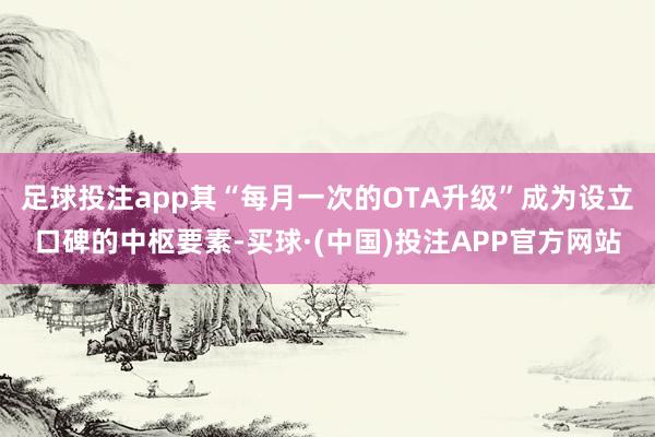 足球投注app其“每月一次的OTA升级”成为设立口碑的中枢要素-买球·(中国)投注APP官方网站