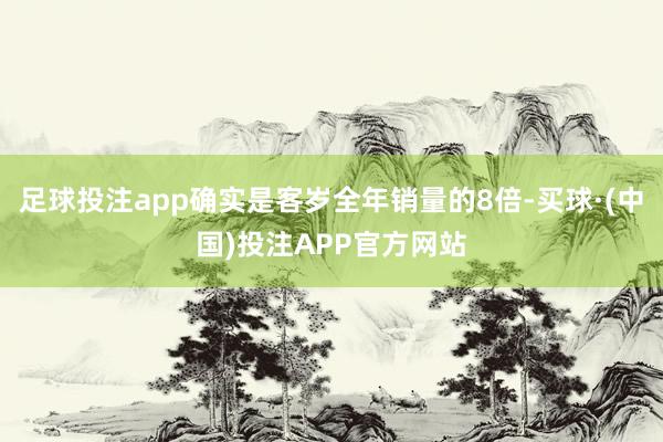 足球投注app确实是客岁全年销量的8倍-买球·(中国)投注APP官方网站