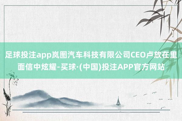 足球投注app岚图汽车科技有限公司CEO卢放在里面信中炫耀-买球·(中国)投注APP官方网站