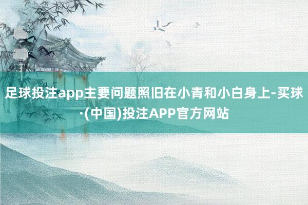 足球投注app主要问题照旧在小青和小白身上-买球·(中国)投注APP官方网站