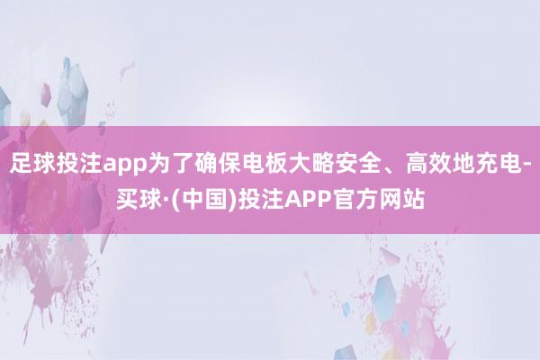 足球投注app为了确保电板大略安全、高效地充电-买球·(中国)投注APP官方网站