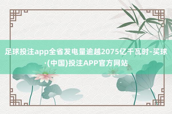 足球投注app全省发电量逾越2075亿千瓦时-买球·(中国)投注APP官方网站