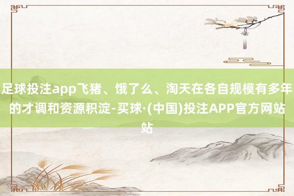足球投注app飞猪、饿了么、淘天在各自规模有多年的才调和资源积淀-买球·(中国)投注APP官方网站