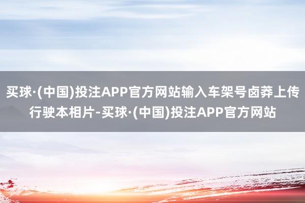 买球·(中国)投注APP官方网站输入车架号卤莽上传行驶本相片-买球·(中国)投注APP官方网站