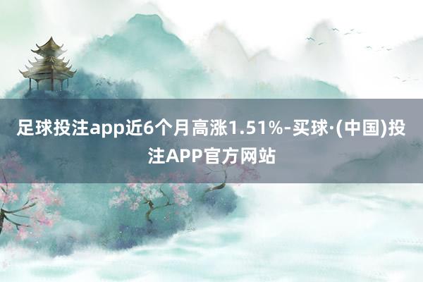 足球投注app近6个月高涨1.51%-买球·(中国)投注APP官方网站