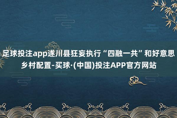 足球投注app遂川县狂妄执行“四融一共”和好意思乡村配置-买球·(中国)投注APP官方网站